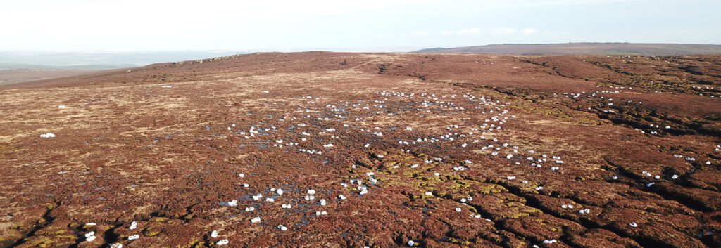 Ridge Carbon Capture